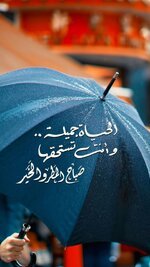 IMG_20221215_171520_634.jpg