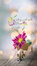 IMG_20221215_171520_350.jpg