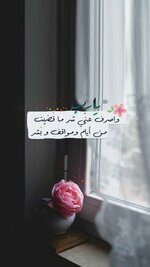 IMG_20221215_171520_898.jpg