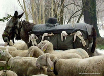 1671456320542.png 1671456320542.png