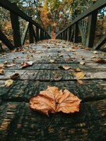 صور قد تأخذك لعالمًا أخر.