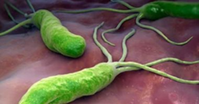 1674299996600.png 1674299996600.png