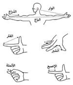 مقاييس رياضية علمية