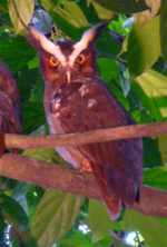 1675873526773.png 1675873526773.png