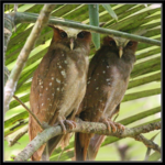 1675873558270.png 1675873558270.png