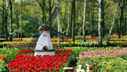 أجمل الحدائق في بروكسل