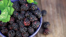 1677701872542.png 1677701872542.png