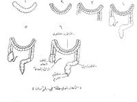 خطوات لتعليم طريقة الرسم 

مادة الاحياء للصف الثالث متوسط

الفصل الرابع ( الجهاز الهضمي )

القناة الهضمية و الرغبات