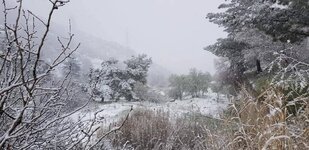 بالصور : تساقط الثلوج في ناحية كاني ماسي بقضاء العمادية في دهوك.