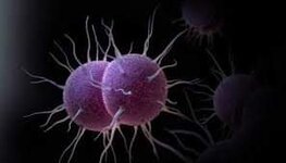 مع 5 وفيات.. رصد حالات مرض "نادر وخطير" في ولاية فرجينيا... 

توفي 5 أشخاص في ولاية فرجينيا الأميركية نتيجة مضاعفات مرض المكورات السحائية، وفق بيان