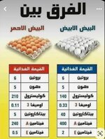 FB_IMG_1694412387129.jpg