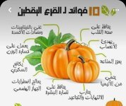 فوائد اليقطين