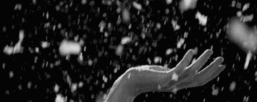 1705338711184.gif