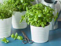 1707136383014.jpeg 1707136383014.jpeg