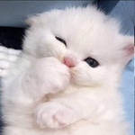 1708257178830.png