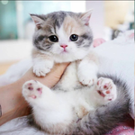 1708257194946.png