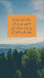 1708258150875.png