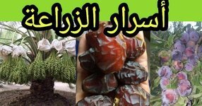 تعلم أسرار الزراعة