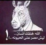 GH3F6SMW4AAwGE5.jpg