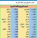 IMG_٢٠٢٤٠٤٠٨_١٠٤٩٤٢.jpg