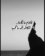 1721908175620.png