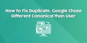 ماذا تعني عبارة Duplicate, Google chose different canonical than user في معايير جوجل