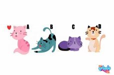 IMG_20250102_061130_111.jpg IMG_20250102_061130_111.jpg