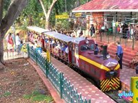 1736859528050.jpeg 1736859528050.jpeg