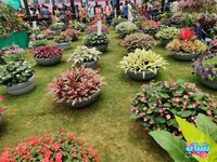 1736859634898.jpeg 1736859634898.jpeg