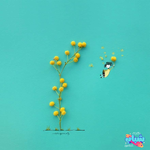 صور الزهور و الأشياء اليومية تتحول إلى أعمال فنية بواسطة جيسو أورتيز