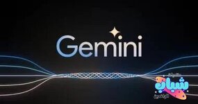 1740133217626.jpeg 1740133217626.jpeg