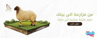 أفضل أنواع لحوم الأغنام في السعودية دليلك لاختيار الذبيحة الزينة-1.jpg أفضل أنواع لحوم الأغنام في السعودية دليلك لاختيار الذبيحة الزينة-1.jpg