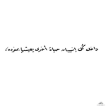 1772146646850.png