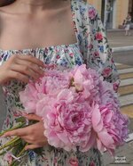 IMG_20260301_074635_032.jpg IMG_20260301_074635_032.jpg