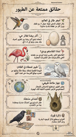 حقائق ممتعة عن الطّيور