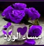 ٢٠٢٣١٠٠٥_١٥٠١٣٦.jpg ٢٠٢٣١٠٠٥_١٥٠١٣٦.jpg
