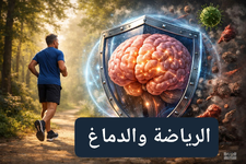 🧠 لماذا يفيد التمرين الدماغ؟ اكتشف العلماء الآلية
