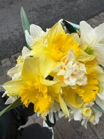 IMG_8822.jpeg