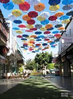 1774605881028.jpeg 1774605881028.jpeg