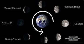 القمر يقترب من اكتماله.. اعرف نسبة إضاءته فى سماء الليل