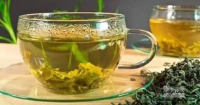 ماذا يحدث لجسمك عندما تشرب الشاي الأخضر كل يوم؟