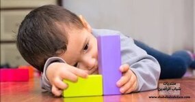 1774948554777.jpeg 1774948554777.jpeg