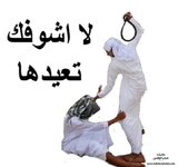 1775248095766.png