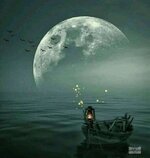 على أوتار الصفاء..