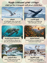 حيوانات تهاجر لمسافات طويلة 🦋