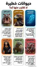حيوانات خطيرة.. لا تقترب منها أبداً