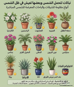 دليل النباتات التي تتحمل الشمس والظل… اختار نبتتك الصح! ☀️🌿