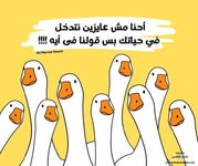 1777375440982.png