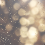 1777812883103.png 1777812883103.png