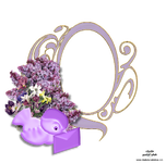 1778438544778.png
